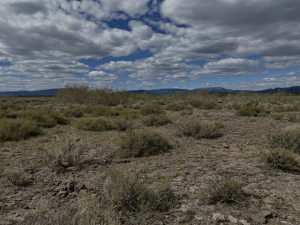 The place where the United States soldiers took cover from the Nez Perce perspective, southeast of the frying pan.