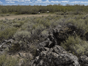 View of two interpretive markers by a road with some small trees behind. In the foreground is a circular pile of rocks used by US soldiers for cover in 1877.
